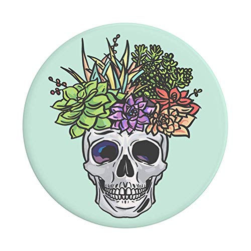 Succulent Head