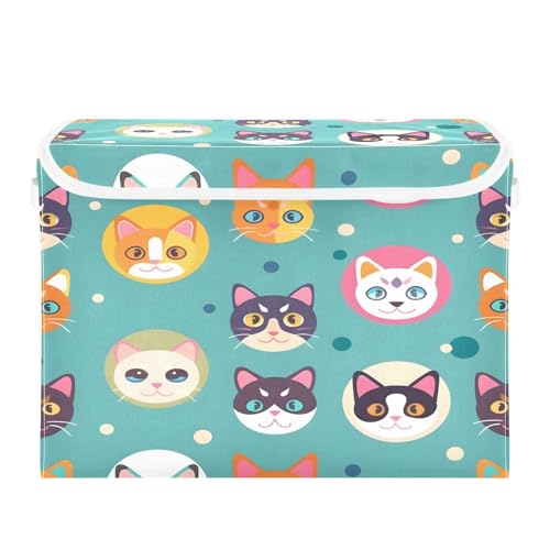 Cute Cat