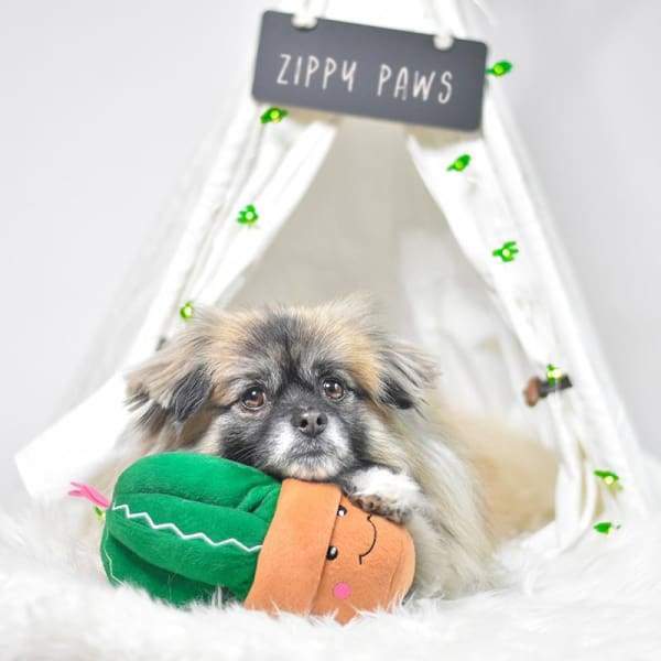 ZippyPaws Carmen The Cactus Plush Dog Toy - Durable & Cute Chew Toy for Small & Medium Dogs - Perfect for Indoor Play, Fetch & Cuddling