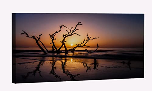 Driftwood Beach
