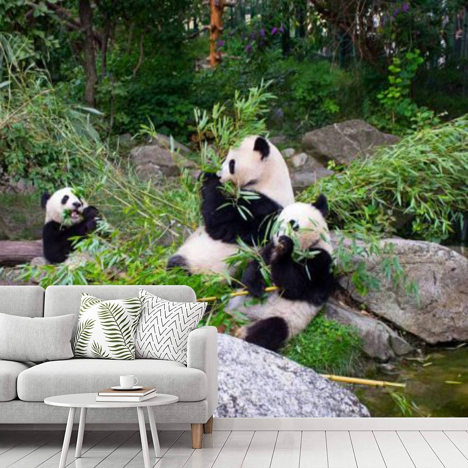 Panda Bears Eating Bamboo Peel and Stick Wallpaper - Self Adhesive Removable Contact Paper for Bedroom, Living Room, Nursery Decor - Easy DIY Wall Mural for Home & Office Renovation