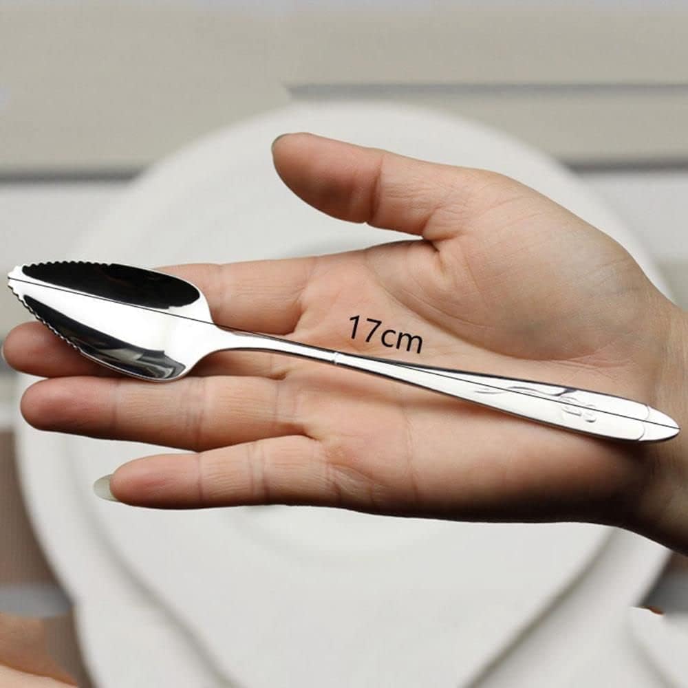 Premium Stainless Steel Grapefruit Spoons - Serrated Edge for Citrus Fruits, Kiwi, Avocados, Salads & Desserts | Durable Kitchen Utensils for Breakfast, Brunch & Fruit Serving