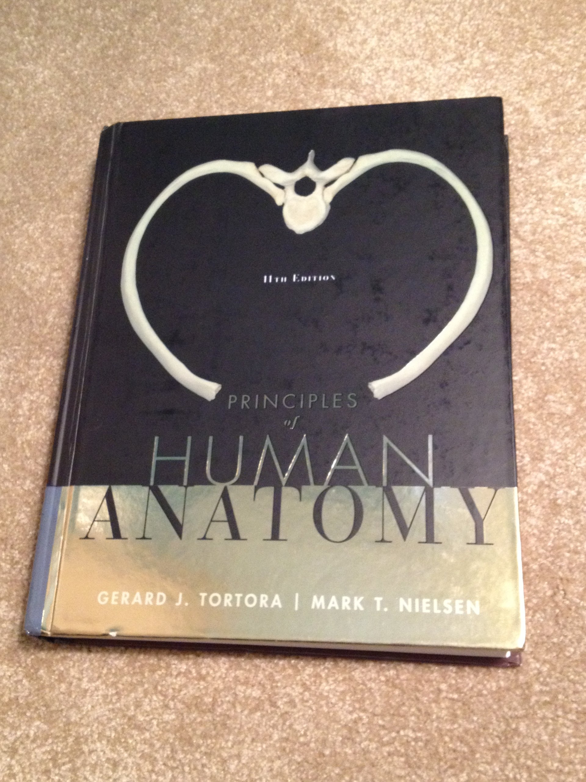 Principles of Human Anatomy - Comprehensive Guide for Medical Students & Professionals | Ideal for Study, Research & Clinical Reference