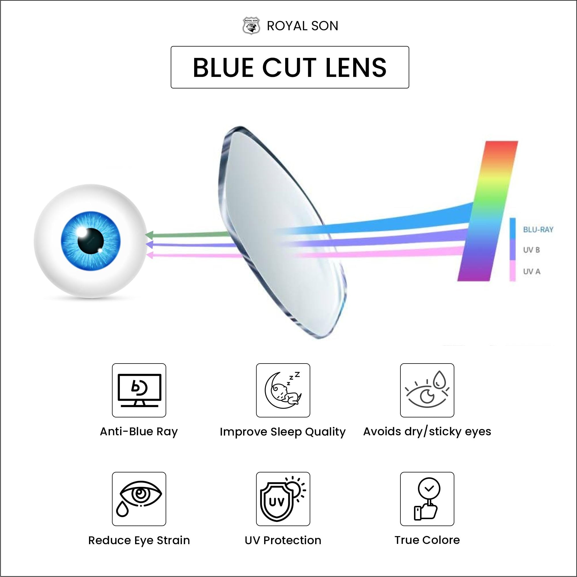 Blue Light Blocking Computer Glasses for Men - ROYAL SON Square Anti Eyestrain Glasses with HD Blue Ray Cut Lenses | Perfect for Gaming, Office Work & Screen Use
