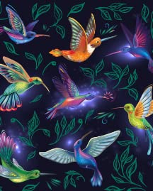 Hummingbirds Magic