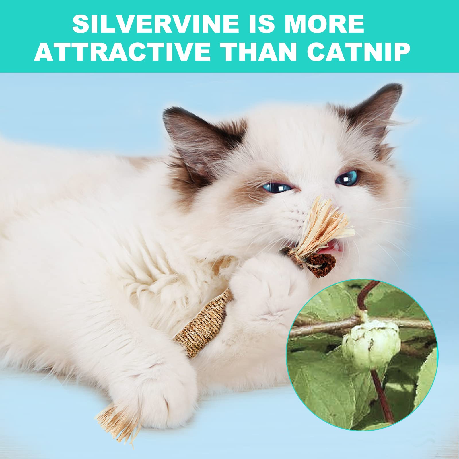 Premium Silvervine Cat Chew Toys - 3 Pack Natural Silvervine Sticks for Indoor Cats, Kitten Teething Toys for Aggressive Chewers, Stress Relief Catnip Toys for All Ages - Perfect for Anxiety Relief, Dental Health & Playtime Fun