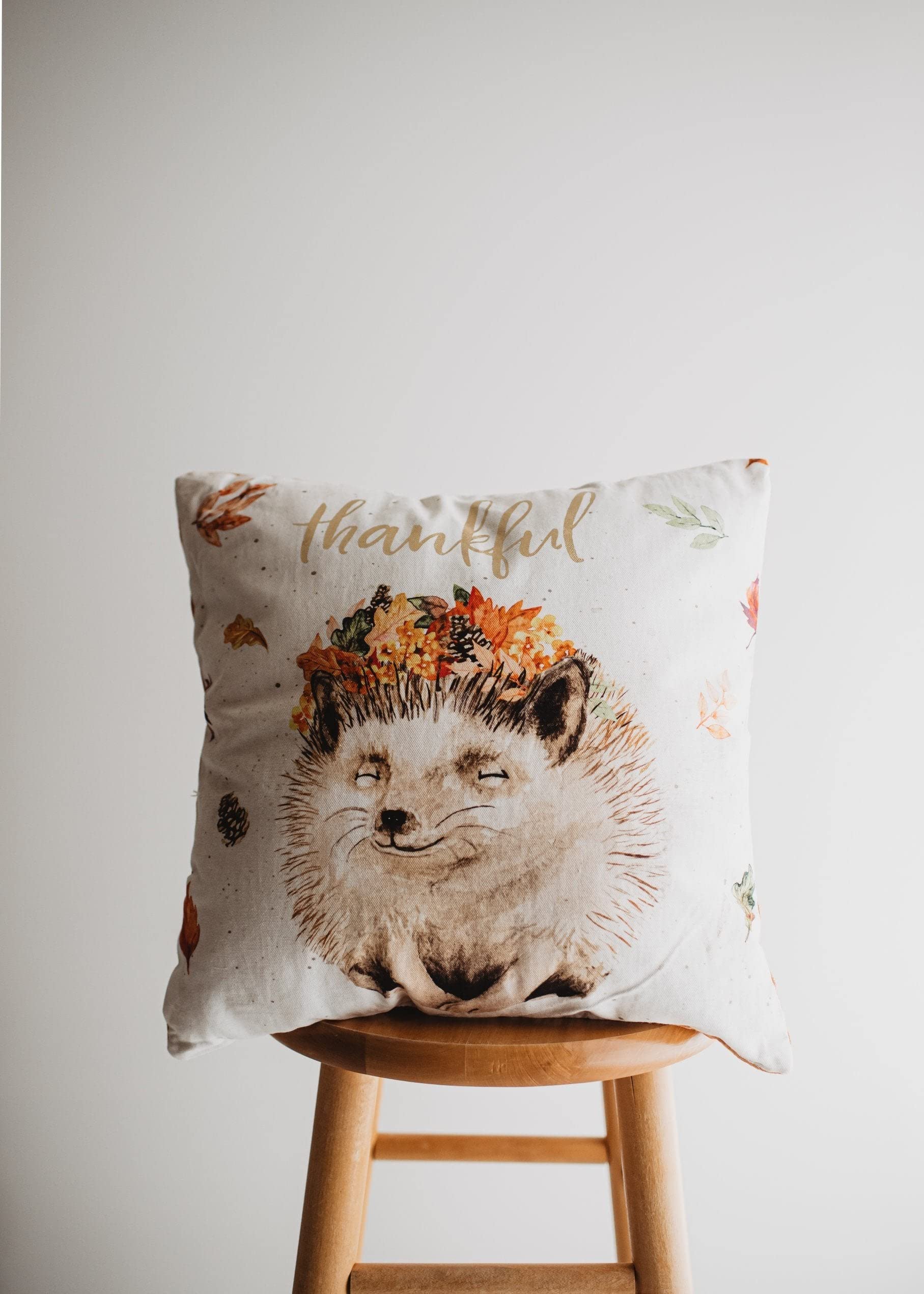 Thankful Hedgehog Pillow Cover - 16x16 Inch Thanksgiving Throw Pillow Case | Farmhouse & Country Home Decor | Fall Seasonal Cushion Cover | Perfect Gift for Holidays - Cozy Living Room & Bedroom Accent