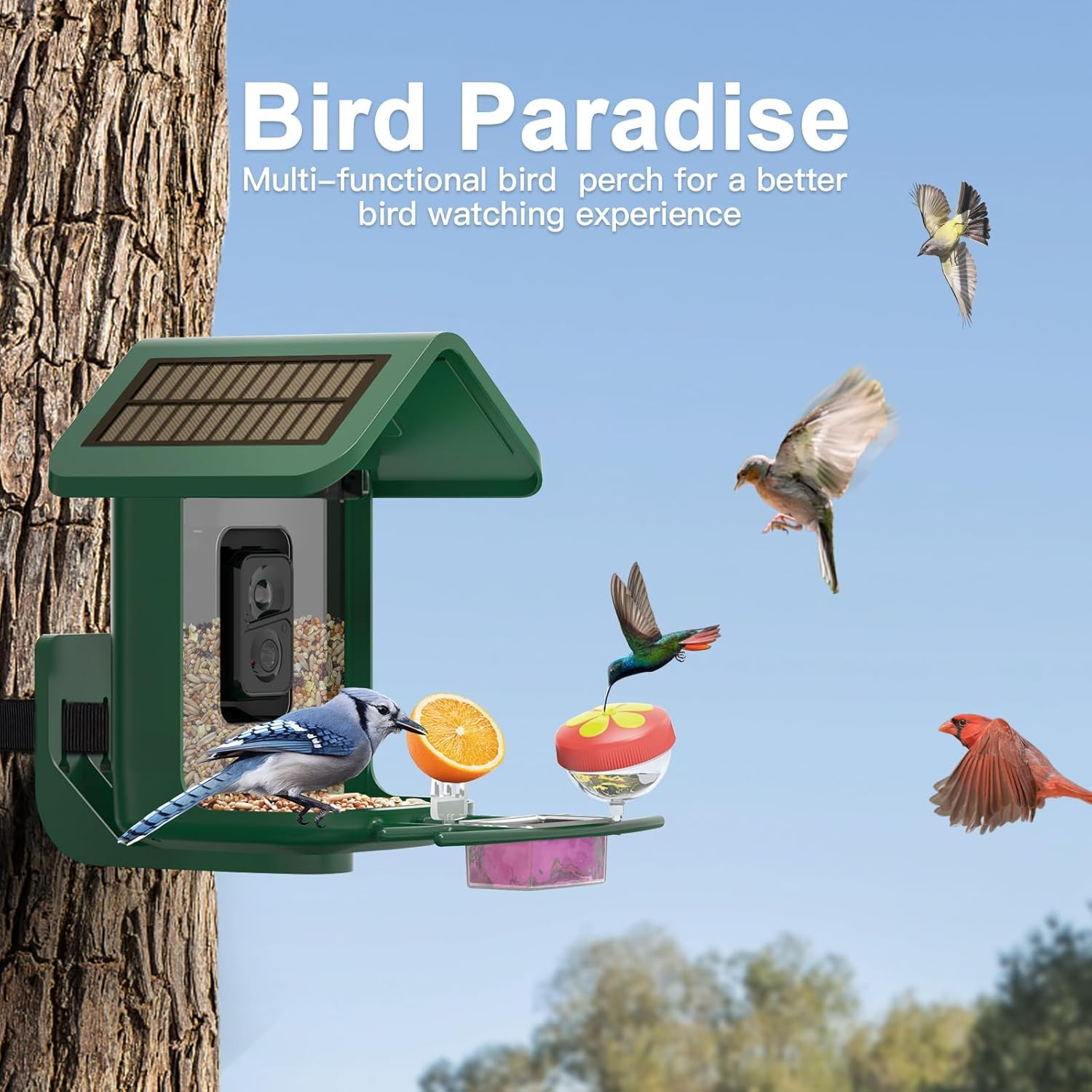 Solar Powered Smart Bird Feeder with 2K Camera - AI Bird Identification, Auto Video Capture, 2.4GHz WiFi - Perfect Backyard Gift for Bird Lovers & Parents (Ideal for Bird Watching, Nature Observation & Outdoor Decor)