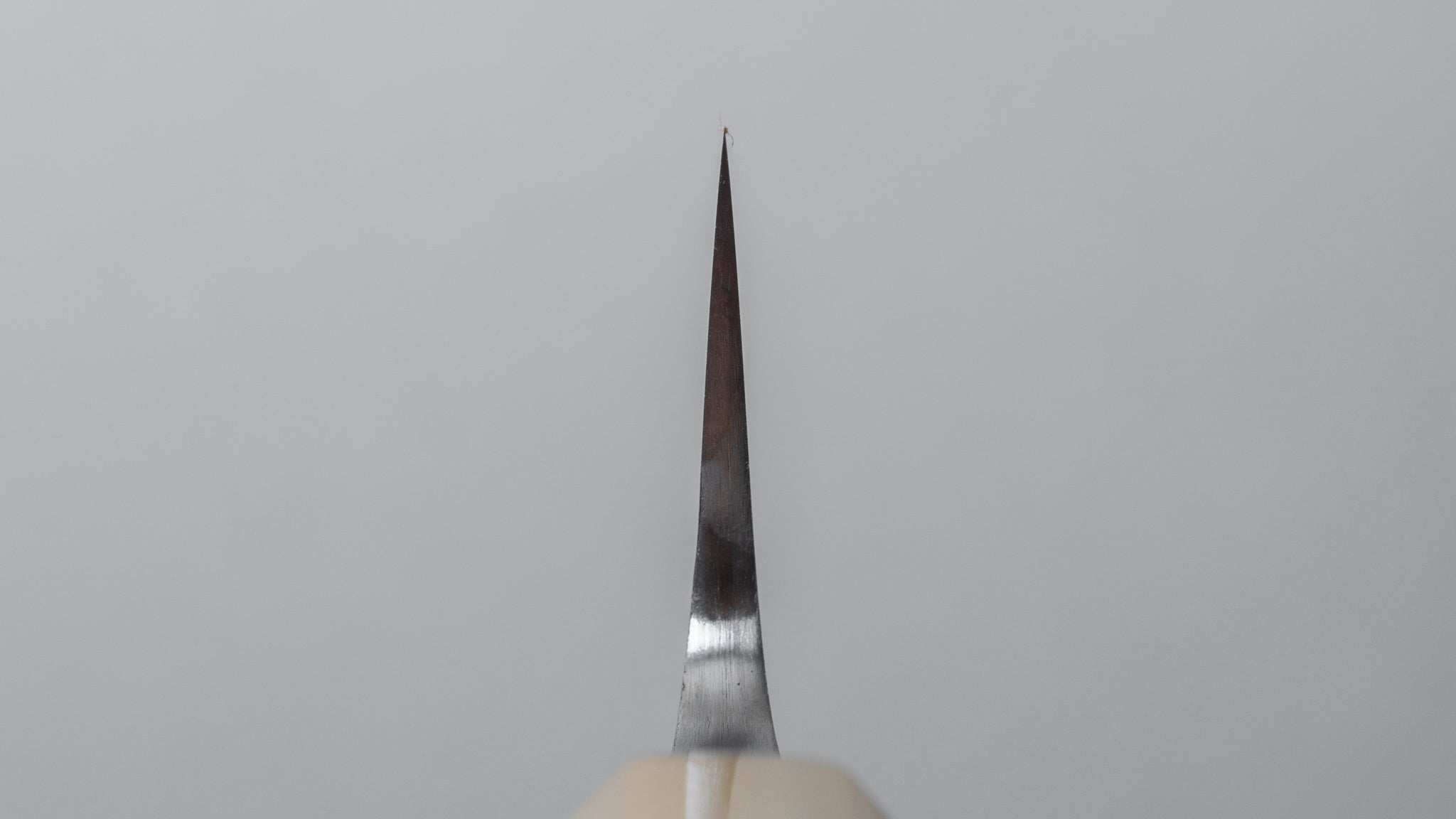 Premium Jiro Tsuchime Sujihiki 210mm Japanese Slicing Knife - Taihei Tagayasan Wood Handle (#512) - Perfect for Sushi, Sashimi & Meat Carving