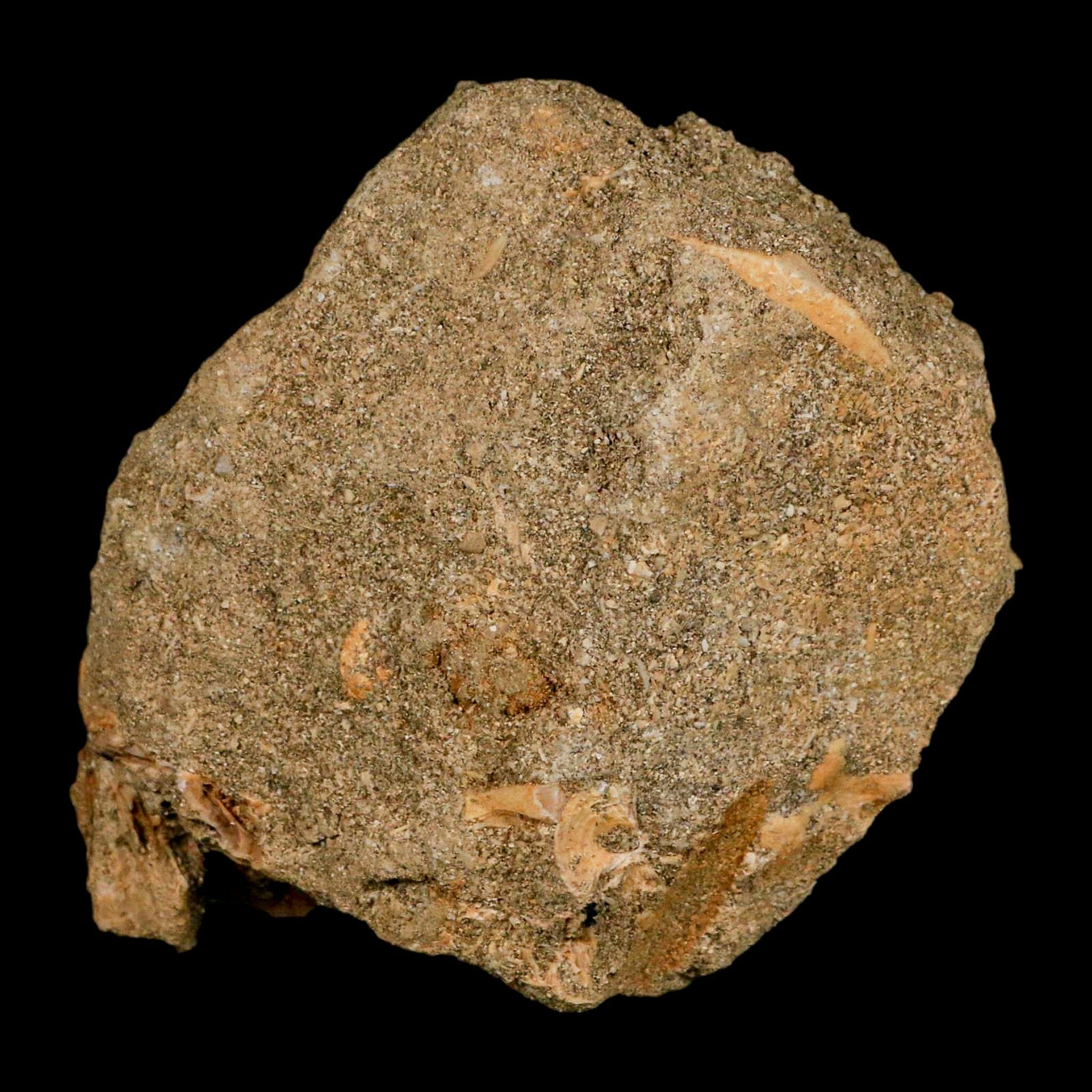 XL 3.2