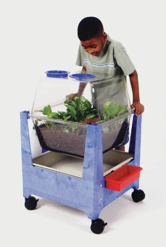 Manta Ray Science Habitat Center - Premium Marine Aquarium Decor for Saltwater Tanks | Perfect for Ocean-Themed Classrooms & Aquatic Exhibits