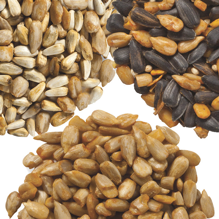 Cole's Hot Wild Bird Seed Sampler - Set of 3 Premium Blends for Attracting Cardinals, Woodpeckers & Songbirds | Perfect for Backyard Bird Feeders & Wildlife Gardens