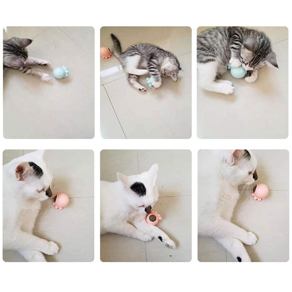 Oncpcare 2 Pack Octopus Catnip Balls - Natural Interactive Cat Toys with Catnip, Fun Chasing Balls for Kittens & Adult Cats - Perfect for Indoor Play, Exercise & Stress Relief