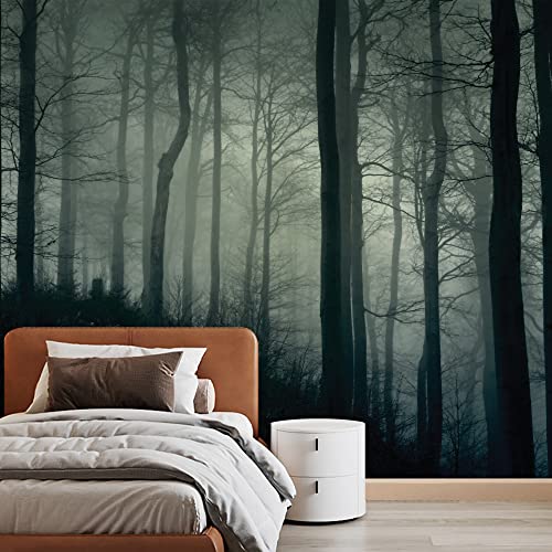 Misty Forest-2