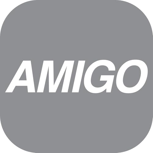 Amigo/Grey