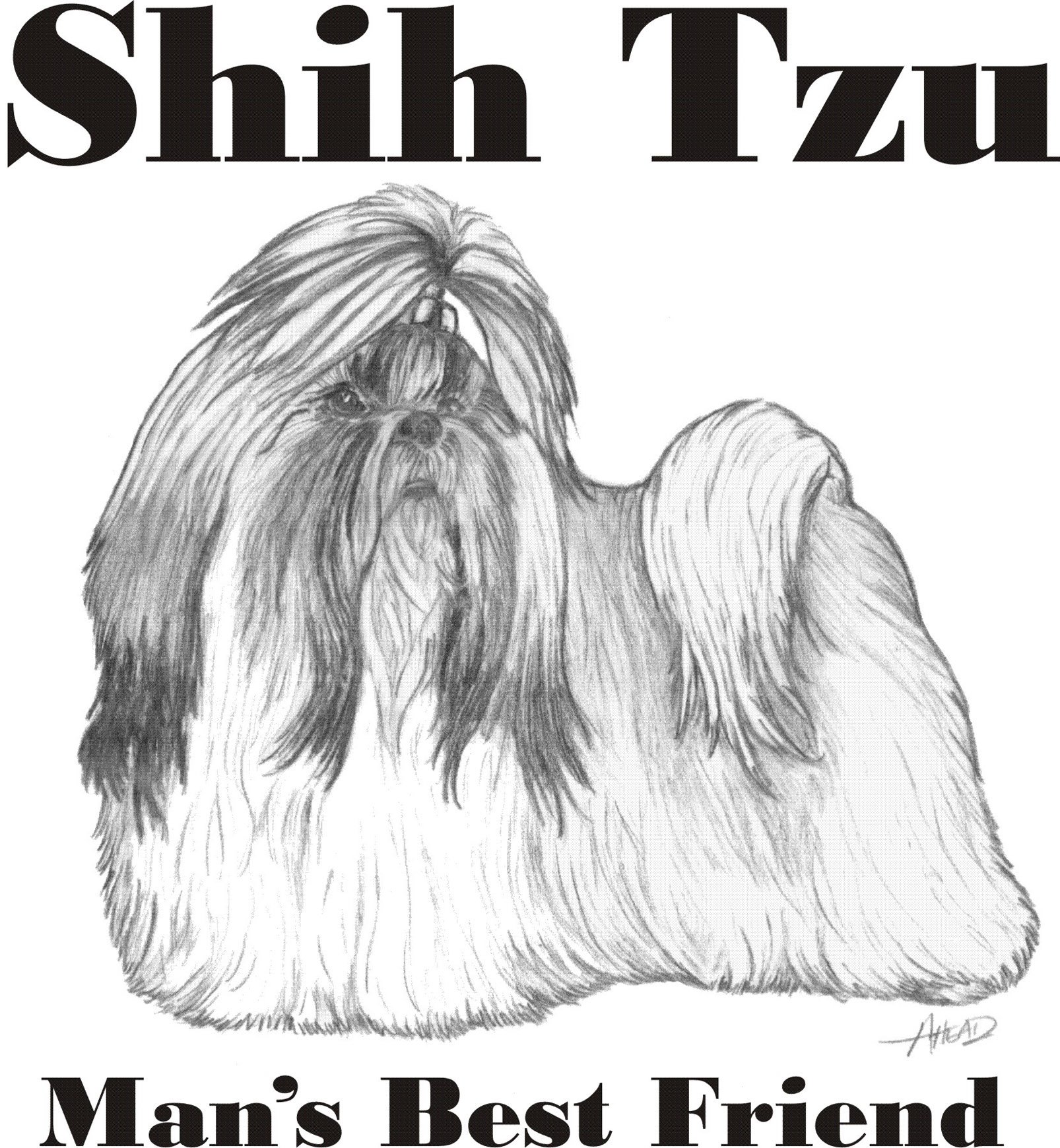 Cahoon's Closet Shih Tzu T-Shirt for Men - Funny Dog Lover Tee - Perfect Gift for Pet Owners & Dog Walkers
