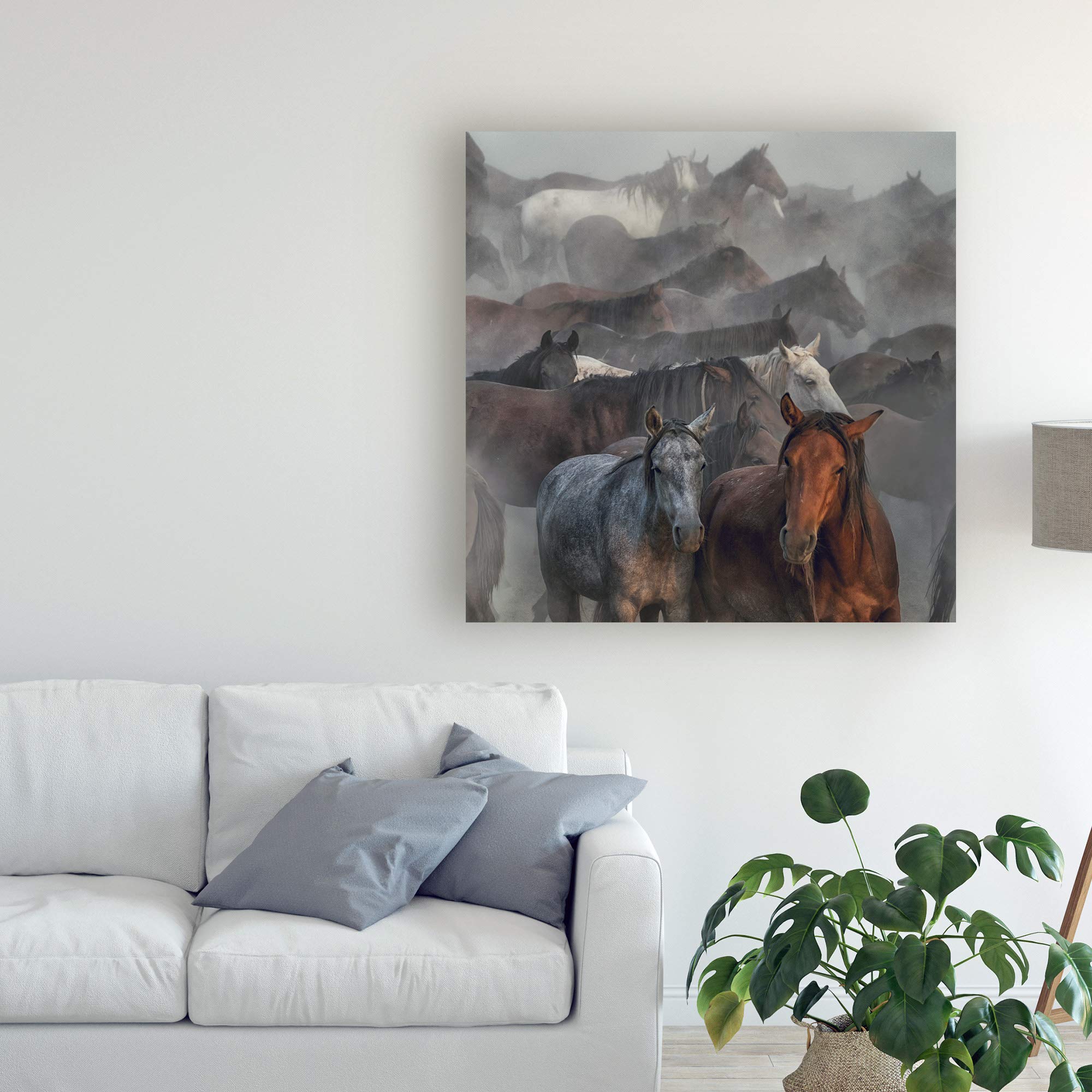 Trademark Fine Art - 18x18 Two Horses Fog by Huseyin Taskin - Stunning Wall Decor for Living Room, Bedroom & Office