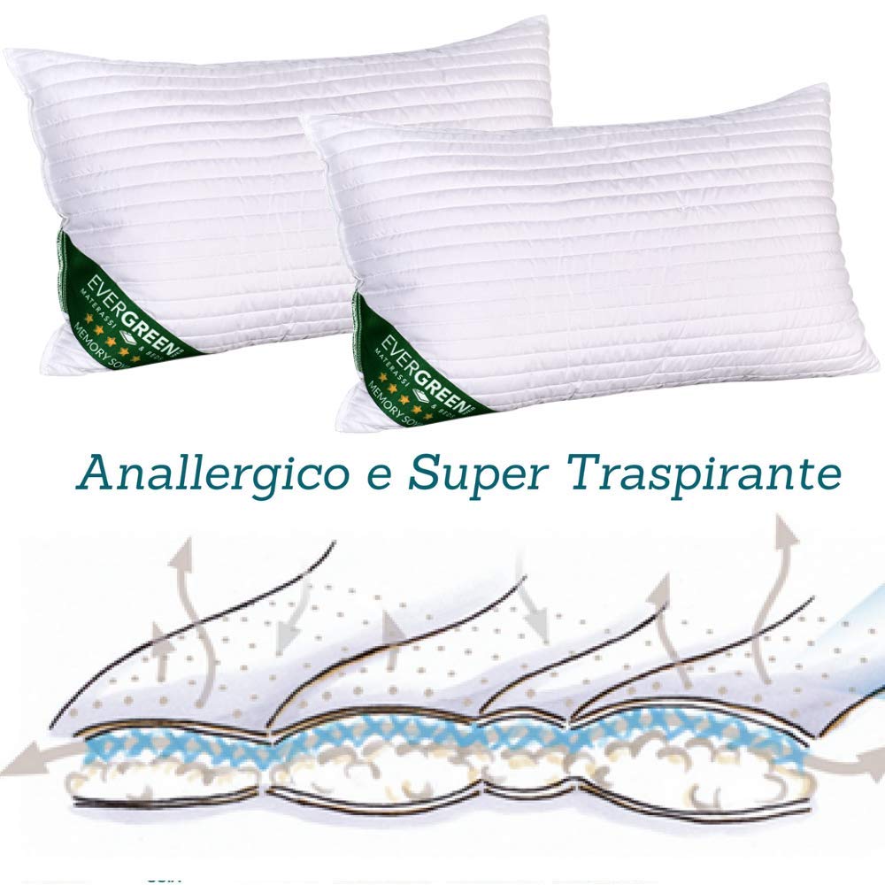 Evergreenweb - Pack of 2 Soy Viscoelastic Pillows 40x70 cm with High 15cm Loft, Neck Support & Breathable for Cervical Pain Relief - Fits All Mattress Types (Bed, Sofa, Office Chair)