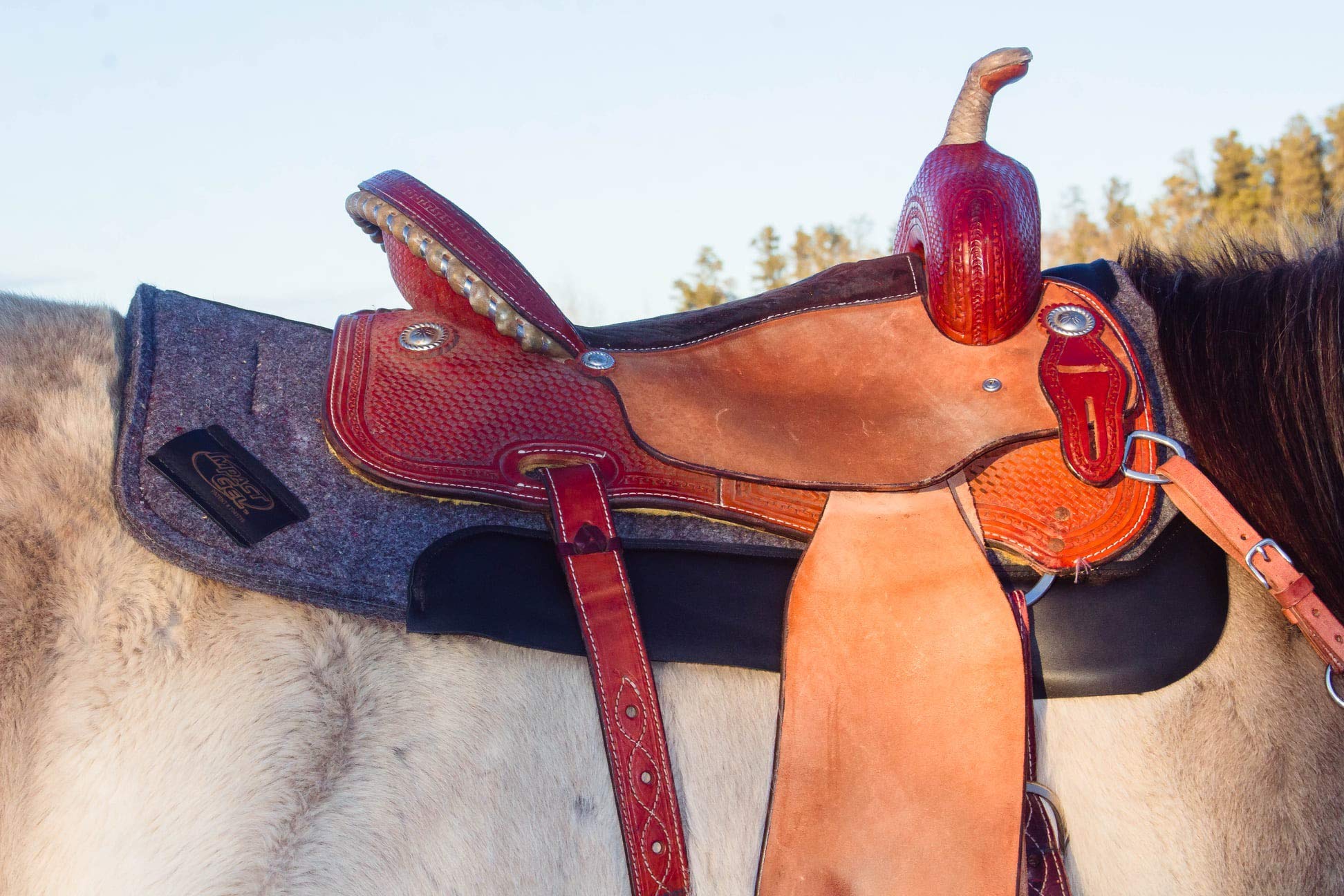 Impact Gel Contour Saddle Pad - Shock Absorbing Horse Riding Saddle Pad for Comfort & Protection - Perfect for Trail Riding, Dressage & Equestrian Sports