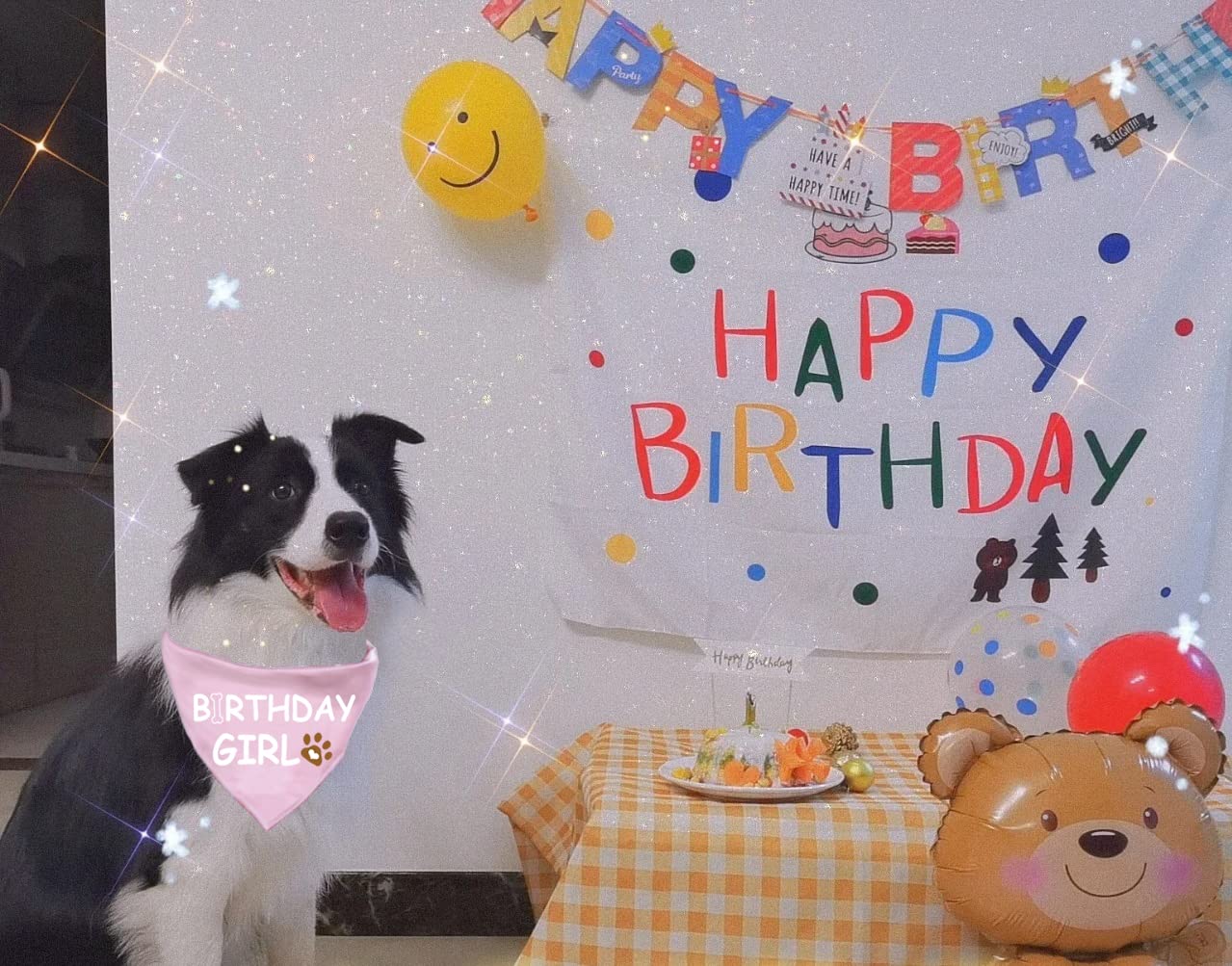 Dog Birthday Bandana for Small, Medium & Large Dogs - Cute Pet Birthday Accessories for Boys & Girls | Perfect for Birthday Parties & Photo Shoots