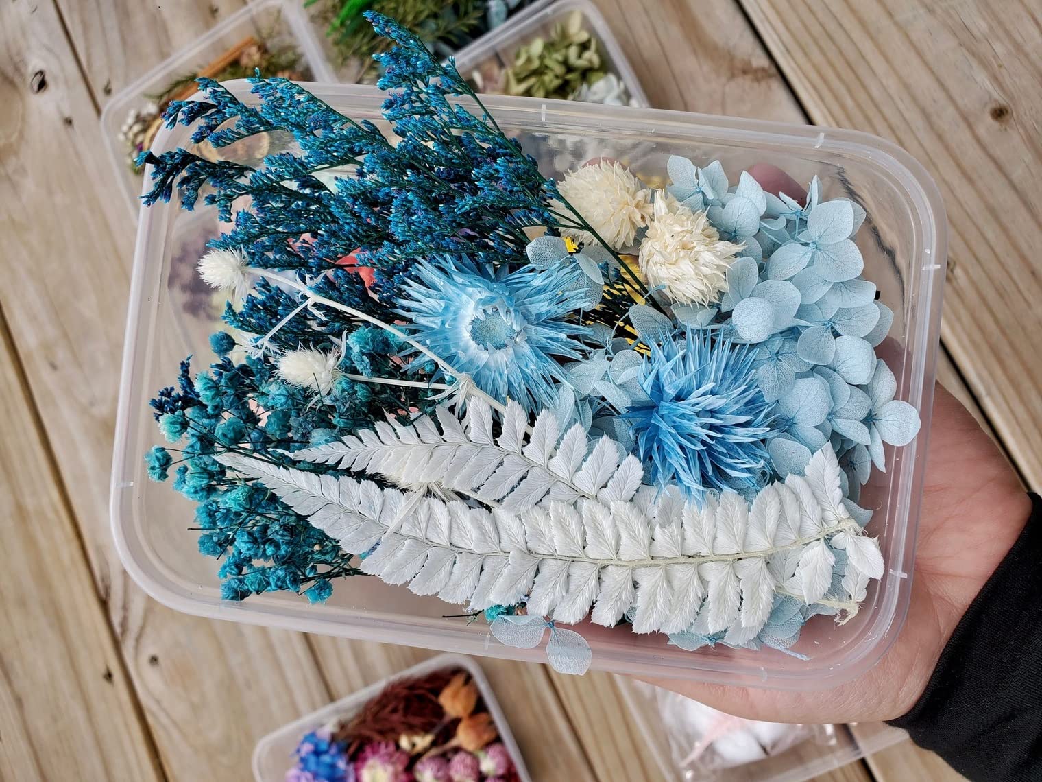 Natural Dried Blue Flowers in Gift Box - Premium Floral Décor for Home, Wedding & Party Decorations