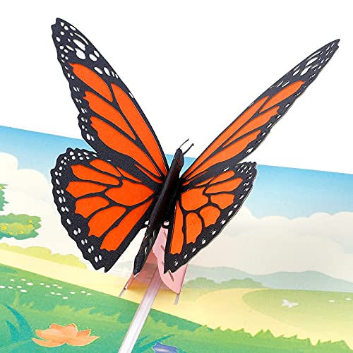 3D Butterfly Pop Up Greeting Cards - Elegant Thank You, Get Well, Sympathy & Celebration Cards for Birthday, Wedding, Graduation | Perfect for Special Occasions & Heartfelt Messages
