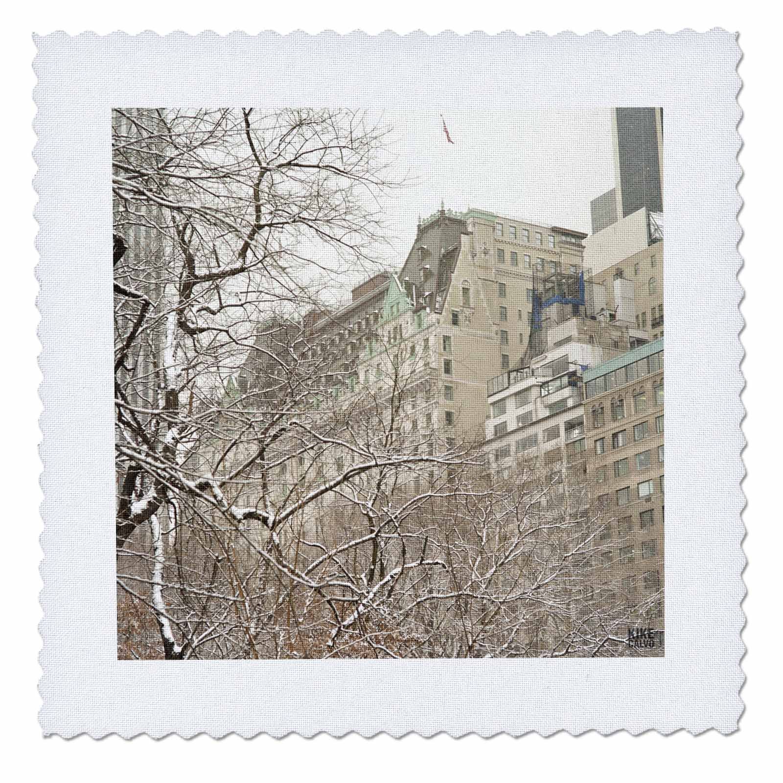 3D Rose Snow Blizzard in Central Park Manhattan New York City Quilt Square - 8x8 Inch Decorative Fabric Panel for Quilting, DIY Crafts & Home Decor