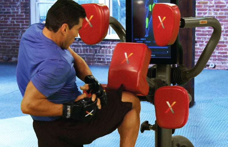 Nexersys Commercial NXS C - Professional Interactive Boxing Trainer for Home & Gym Workouts - Perfect for Fitness, MMA Training & Cardio Exercise