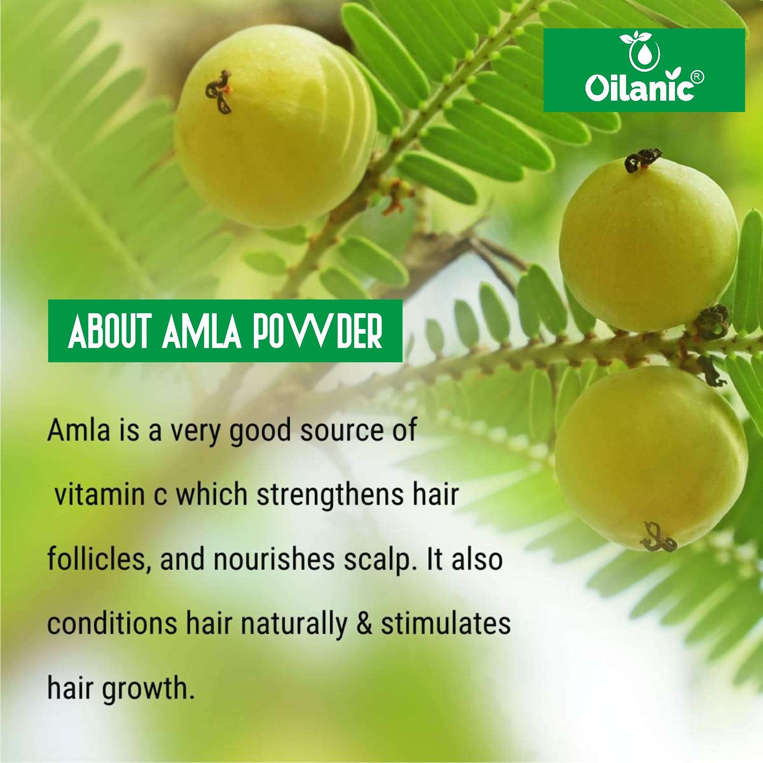 Oilanic 100% Pure Natural Amla Powder for Hair Growth & Skin Care - 3 Pack (300g) | Organic Indian Gooseberry Supplement for DIY Hair Masks, Face Scrubs & Healthy Smoothies