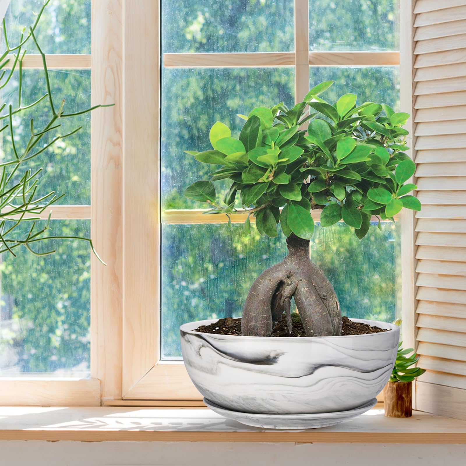 G EPGardening 10 Inch Large Marble Pattern Ceramic Planter Pot - Indoor/Outdoor Succulent & Flower Container for Home, Office, Garden Decor | Perfect for Plants, Herbs, and Decorative Displays