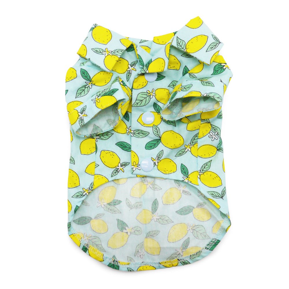 Blue Lemon Print T-Shirt for Men & Women - Casual Summer Fashion Top for Outdoors, Parties & Everyday Wear