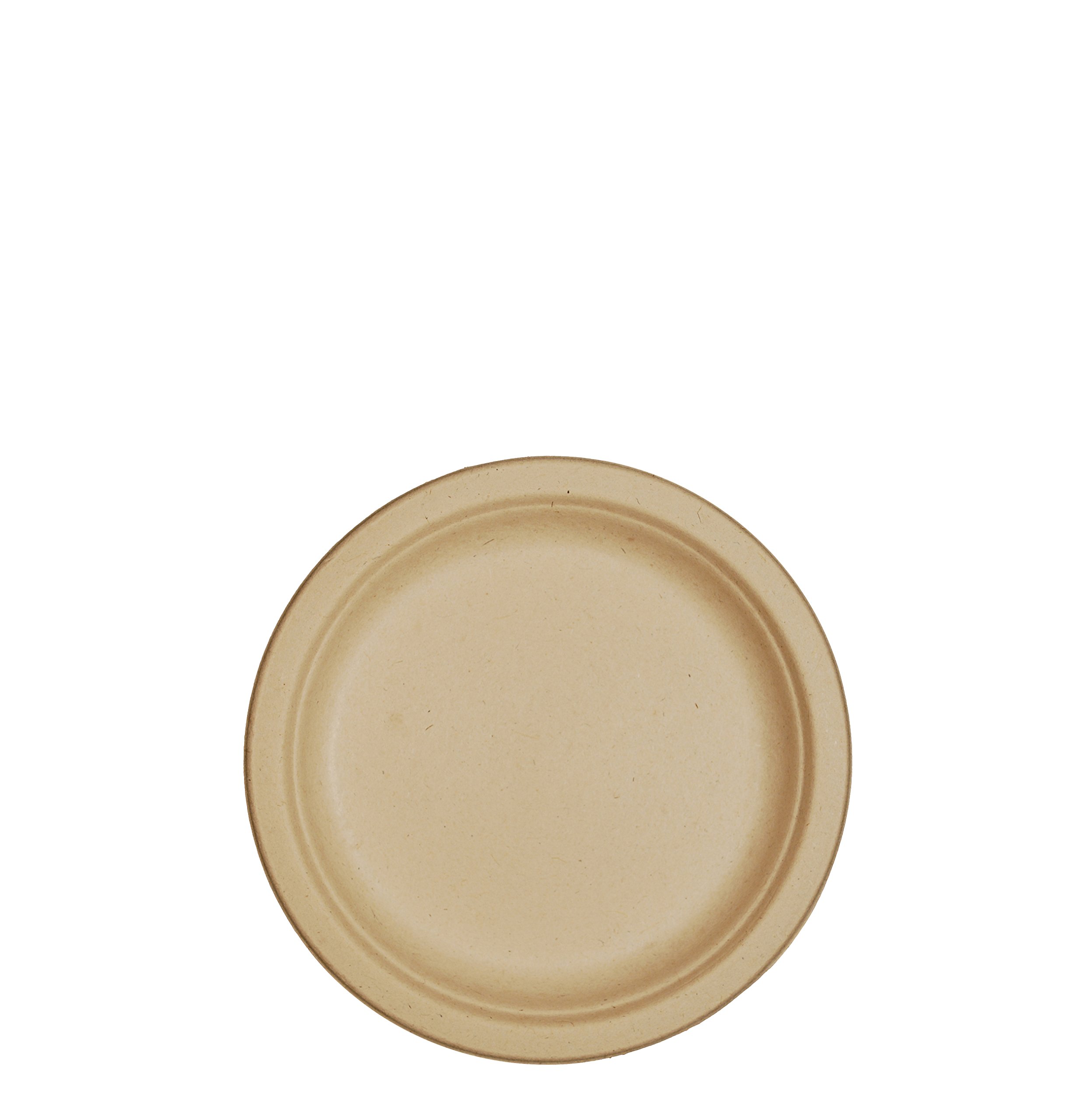 World Centric 100% Compostable Unbleached Plant Fiber Plates - 7 Inch Eco-Friendly Disposable Plates (Pack of 1000) | Perfect for Parties, Picnics & Sustainable Events