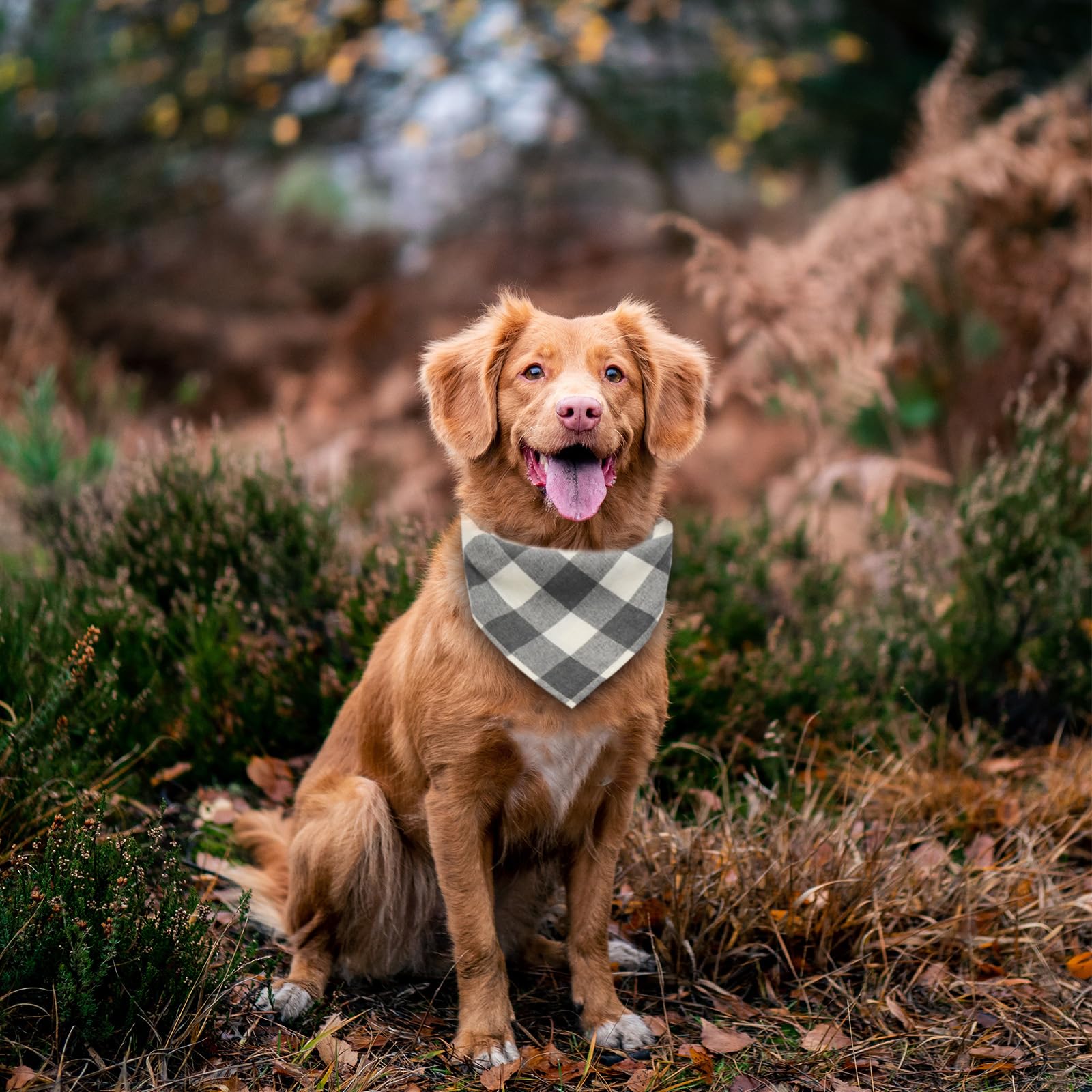 Bubblepup Reversible Plaid Dog Bandanas - Fall Pet Bandana Scarf for Small Medium Large Dogs - Cute Triangle Bib Accessories for Puppies, Boys & Girls - Perfect for Halloween, Thanksgiving & Outdoor Adventures