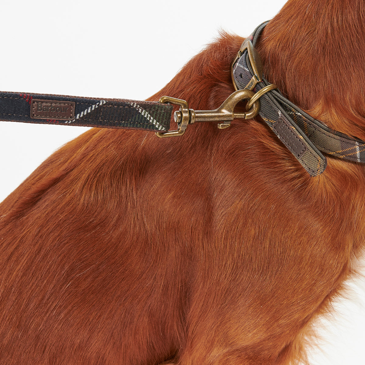Barbour Tartan Dog Lead - Durable and Stylish Dog Leash for Small to Medium Dogs - Perfect for Walks, Training, and Outdoor Adventures