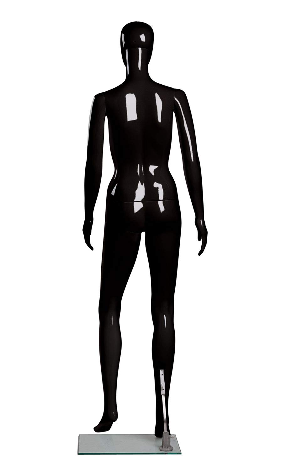 SSWBasics 5'8