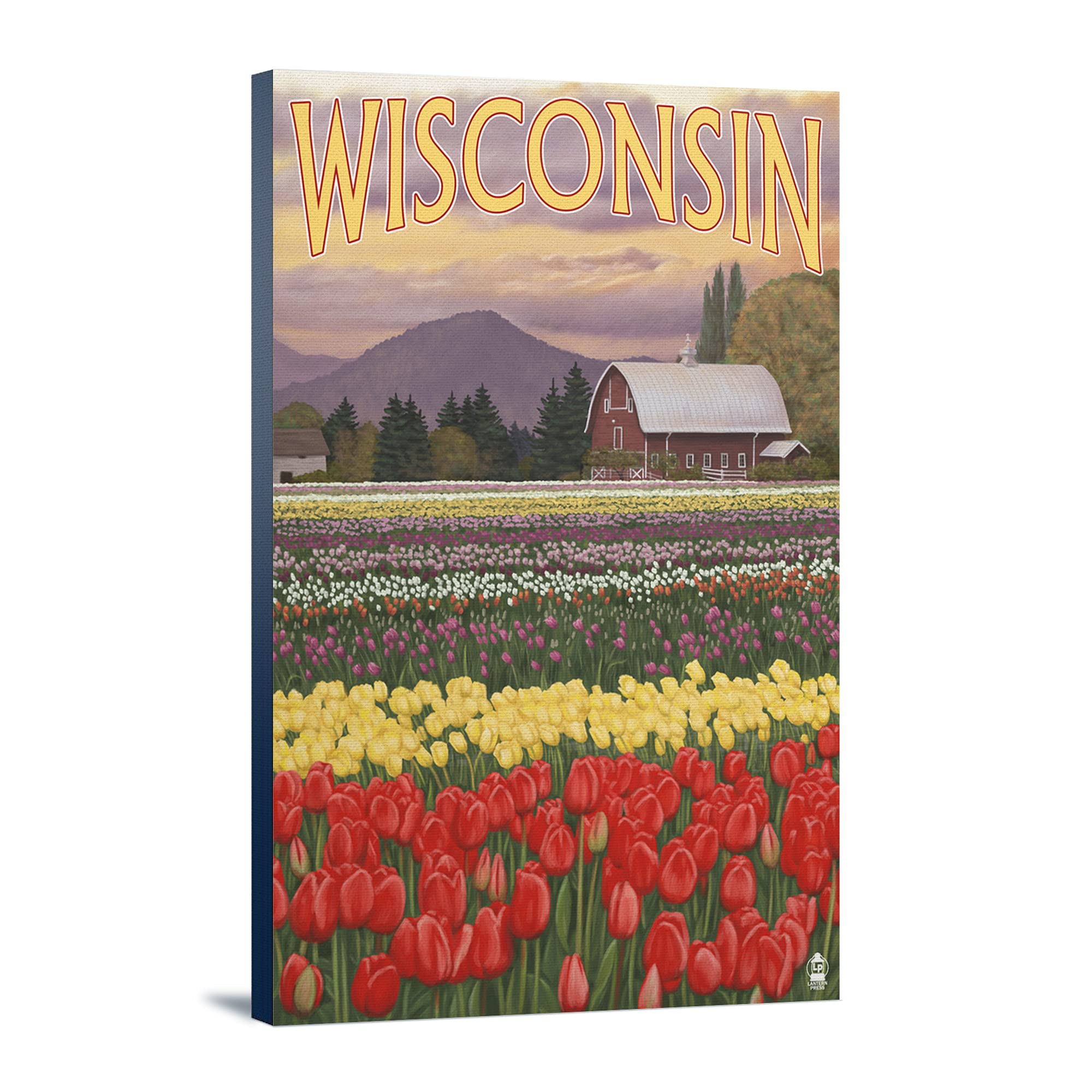 Lantern Press Wisconsin Tulip Fields Wall Art - 16x24 Wrapped Canvas Print for Home & Office Decor | Perfect for Living Room, Bedroom, or Gift