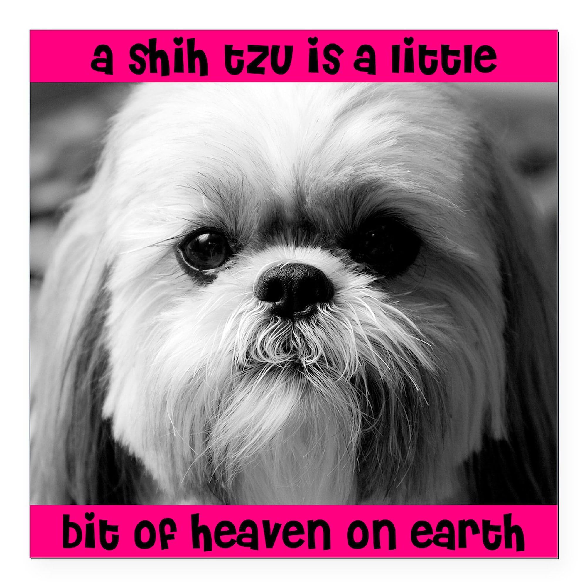 Heavenly Shih Tzu Square Car Magnet 3