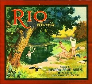 Vintage Orange Citrus Fruit Crate Magnet Art Print - Retro Rivera Rio Lake Skinny Dipping Decor - Perfect for Fridge, Locker & Office Bulletin Boards