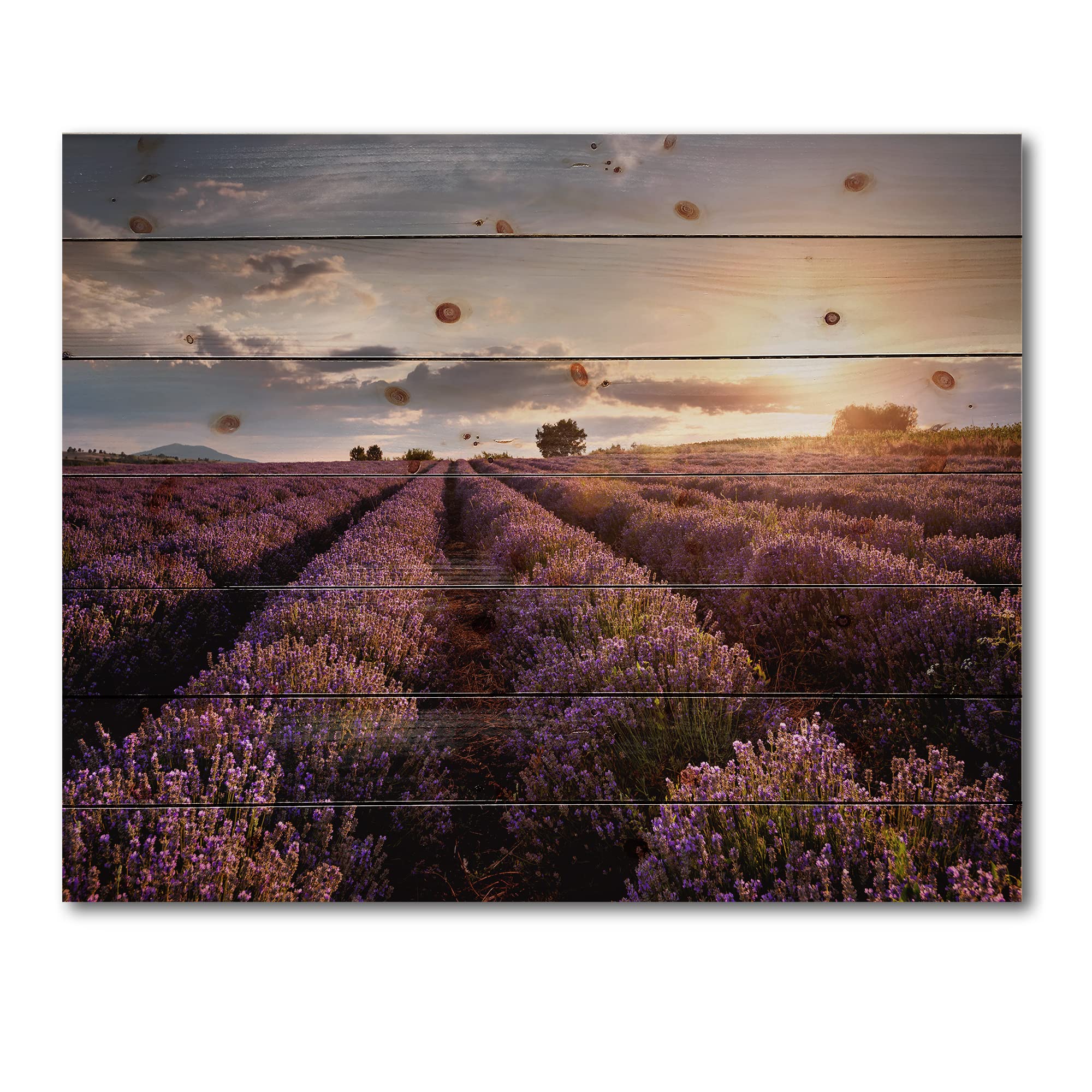 Farmhouse Wood Wall Decor - Sunrise & Lavender Field Landscape Art on Natural Pine Wood, Large Brown Wood Wall Panels for Living Room, Bedroom & Office