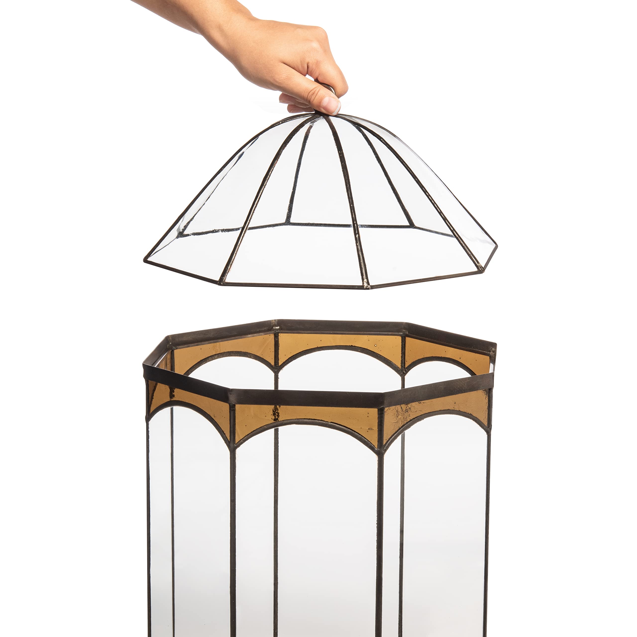 H Potter 8-Sided Terrarium Wardian Case with Curved Glass & Brown Accents - Large Glass Greenhouse for Plants, Succulents & Home Decor | Perfect for Indoor Gardening, Office Decor & Gift Ideas