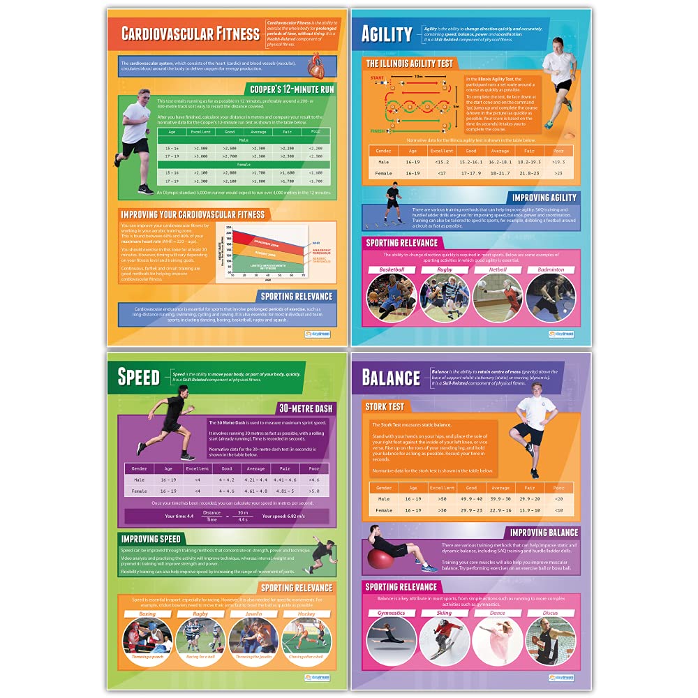 Daydream Education Components of Physical Fitness Posters - Set of 12 - EXTRA LARGE 33” x 23.5” - Gloss Paper - PE Classroom Decor for Middle & High School - Educational Wall Charts - Perfect for Gymnasiums, Fitness Centers & Home Workout Spaces
