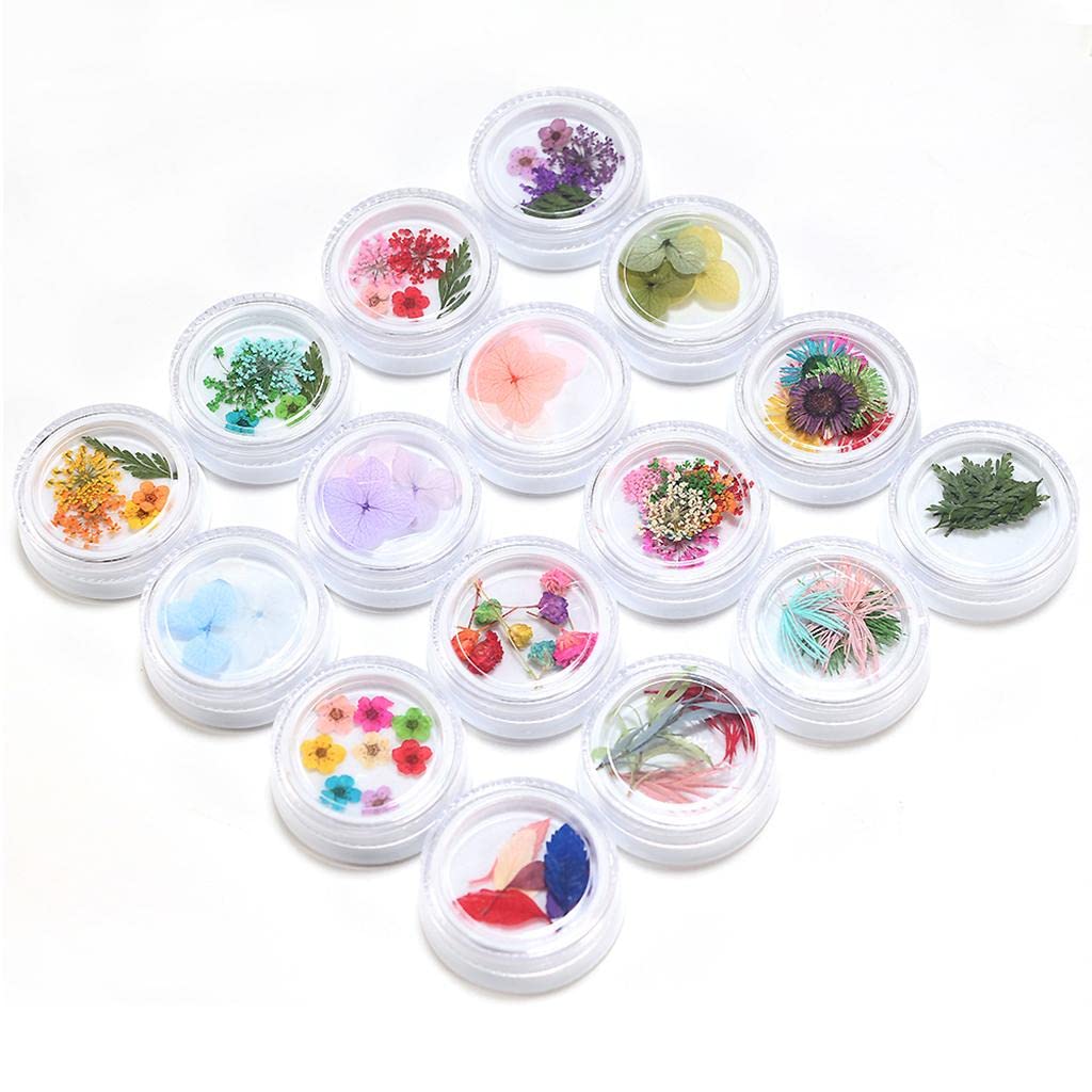 VMS INDIA Dried Flowers for Nail Art - 16pcs Natural Pressed Floral Decorations for Acrylic & UV Gel Nails - Perfect for DIY Manicure, Bridal Nail Designs, and Salon Nail Art