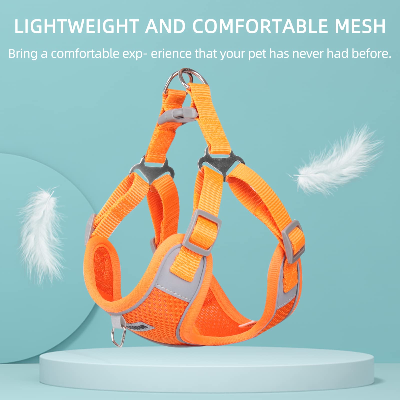 No Pull Dog Harness with 2 Leash Clips - Adjustable Breathable Padded Vest for Small & Medium Dogs - Reflective Safety Harness & Leash Set (Pumpkin, S) - Perfect for Walking, Training & Outdoor Adventures