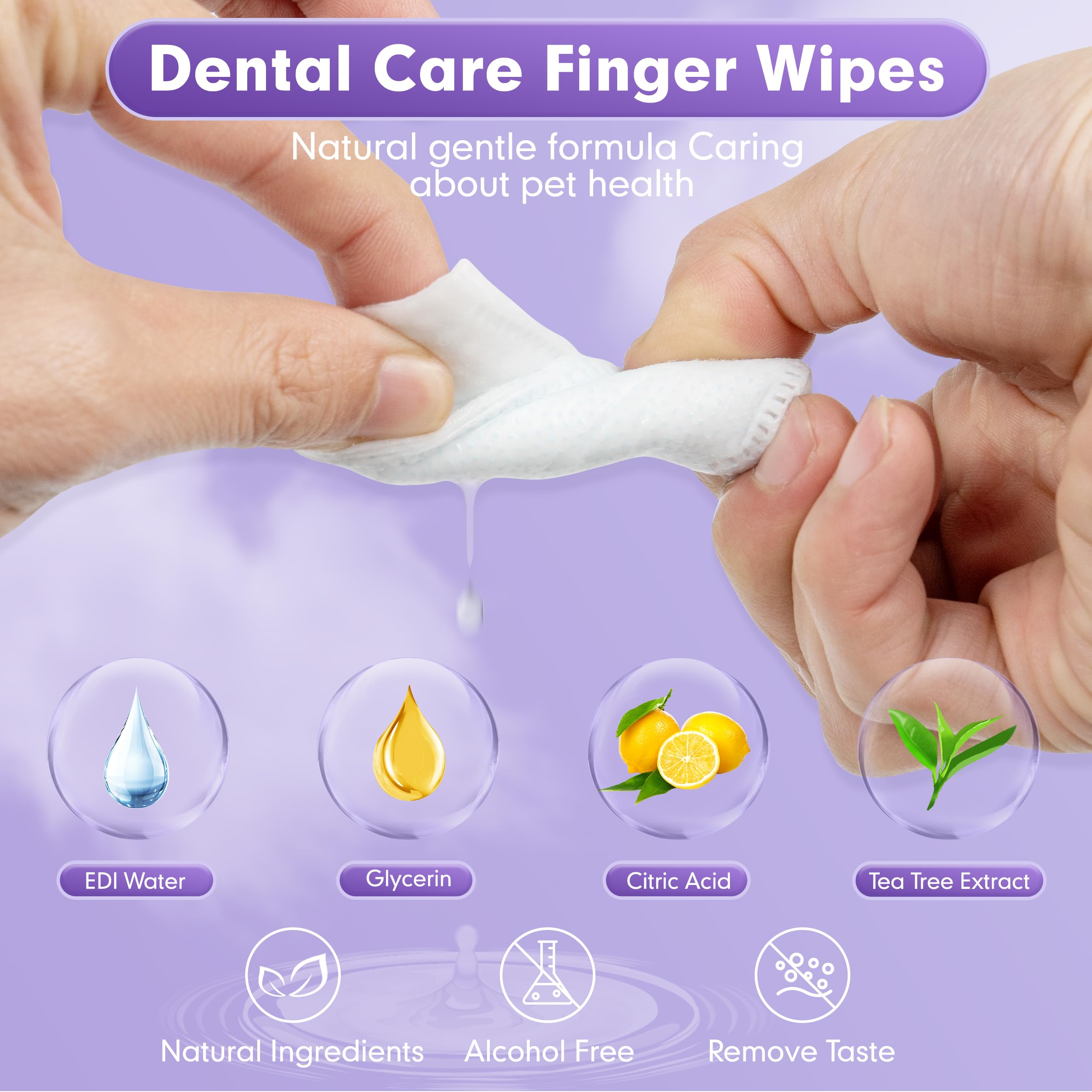 Cyeollo Dog Dental Wipes for Teeth Cleaning - 50 Count Pet Finger Wipes to Reduce Plaque & Tartar, Freshen Breath - No-Rinse Toothbrush Alternative for Dogs & Cats - Gentle Gum Care for Daily Oral Hygiene at Home or Travel
