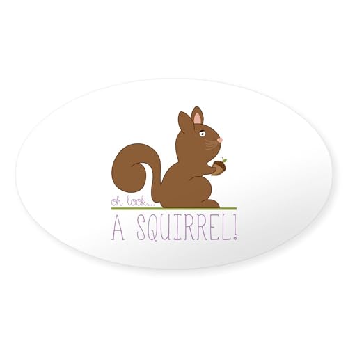 Clear - Oh Look Squirrel Sticker