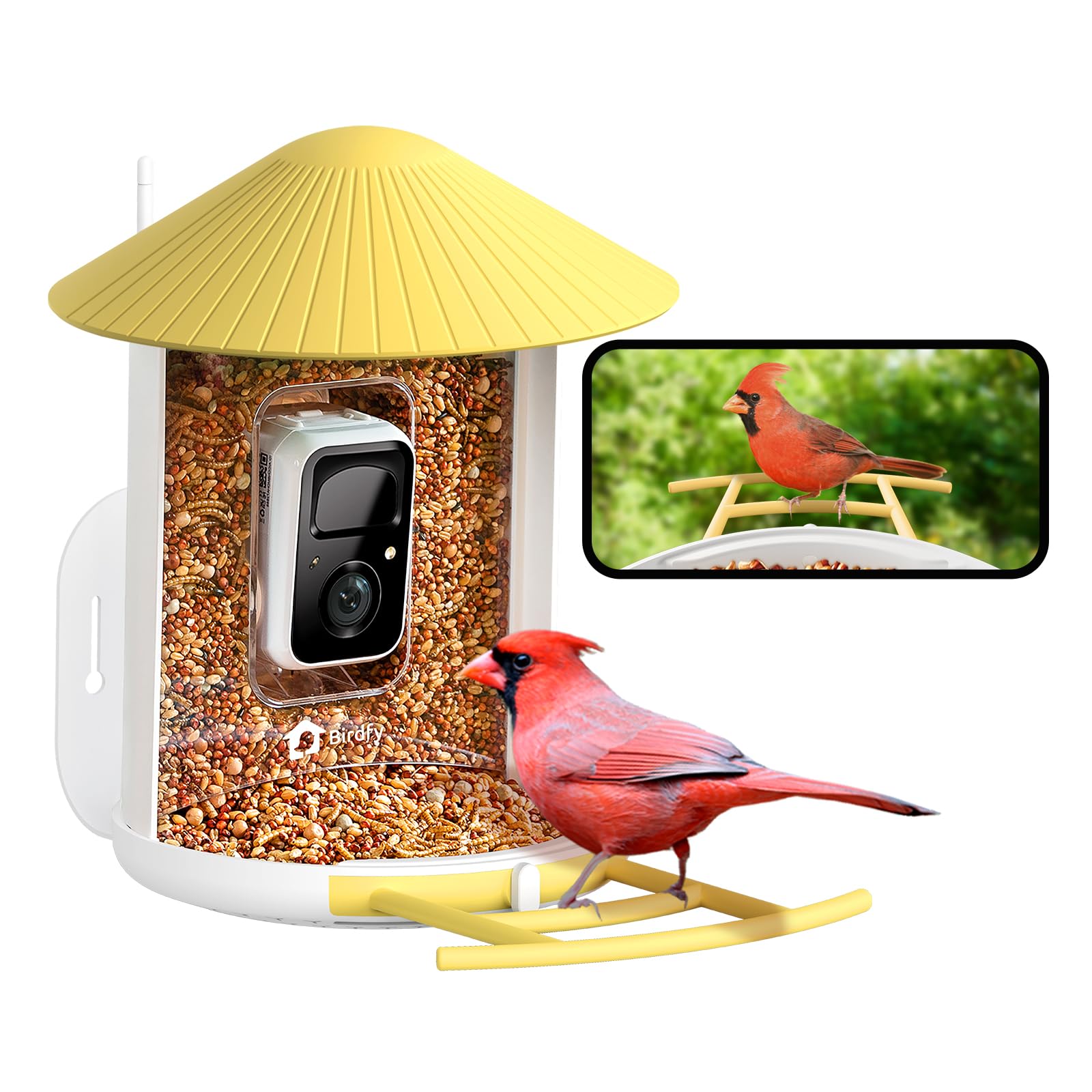 NETVUE by Birdfy Smart Bird Feeder with Camera - Wireless Outdoor Bird Watching Camera with Motion Detection, Auto Video Capture & Instant Alerts - Perfect Gift for Bird Lovers - Ideal for Backyard Birdwatching, Nature Monitoring & Wildlife Photography (Yellow)