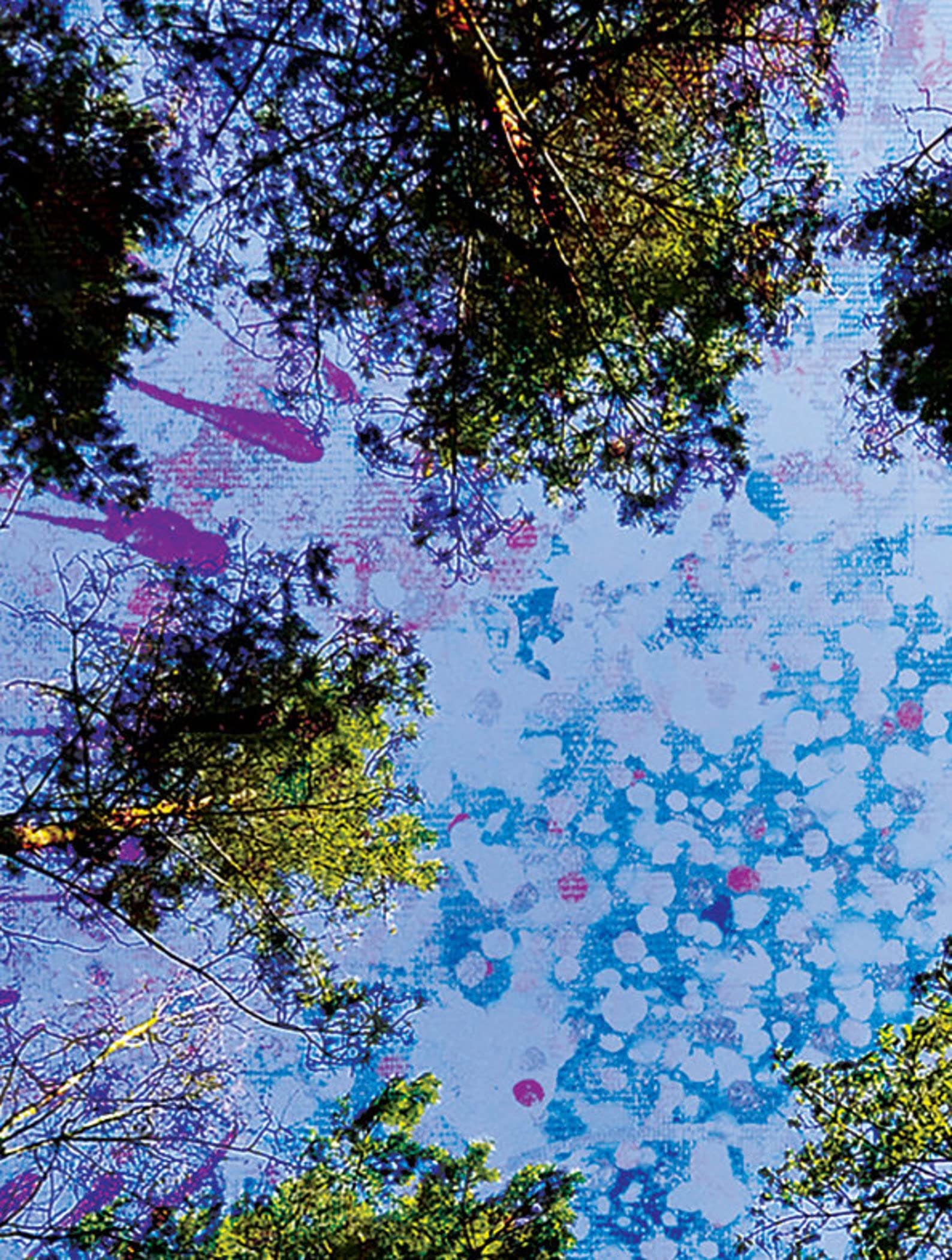 Trippy Tree Canopy Art Print - Nature Wall Decor Poster with Earthy Forest Design | Premium Quality Paper | Unframed Wall Art for Bedroom, Living Room & Office | Perfect for Meditation Spaces & Bohemian Home Decor