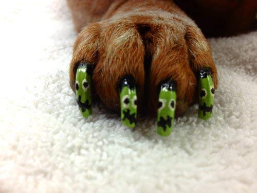 Warren London Pawdicure Dog Nail Polish Pens - Quick Drying, Non-Toxic & Low Odor Pet Nail Polish - Made in USA - 13 Vibrant Colors Including Neon Pink, Purple & Green - Perfect for Dog Birthday Parties, Costume Events & Grooming Sessions