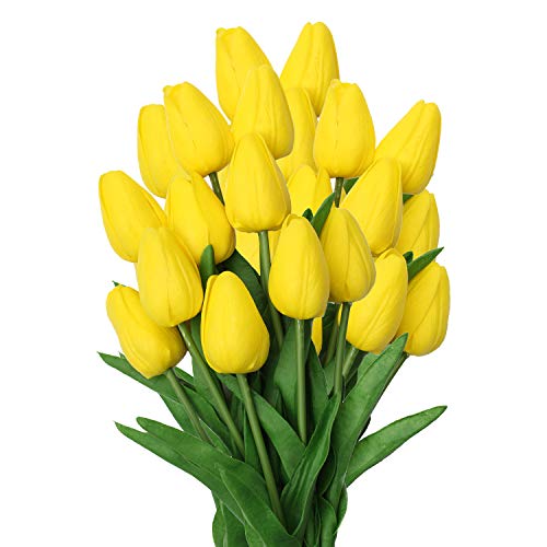 Yellow #10