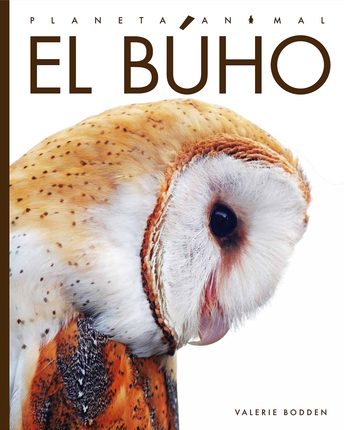 El Buho 9781640264700 - Children's Bilingual Book in English and Spanish - Perfect for Kids Learning Spanish or English, Storytime, and Classroom Reading
